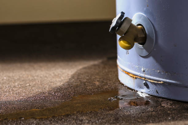 Trusted MA Water damage restoration Experts