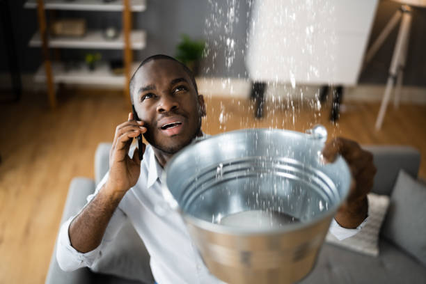 Best Ceiling water damage repair  in Gardner, MA