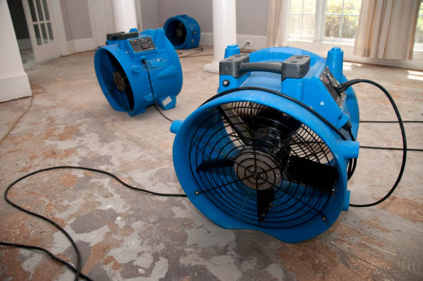 Best Flood restoration services  in Gardner, MA